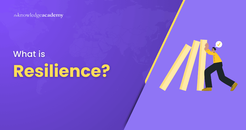 What is Resilience?