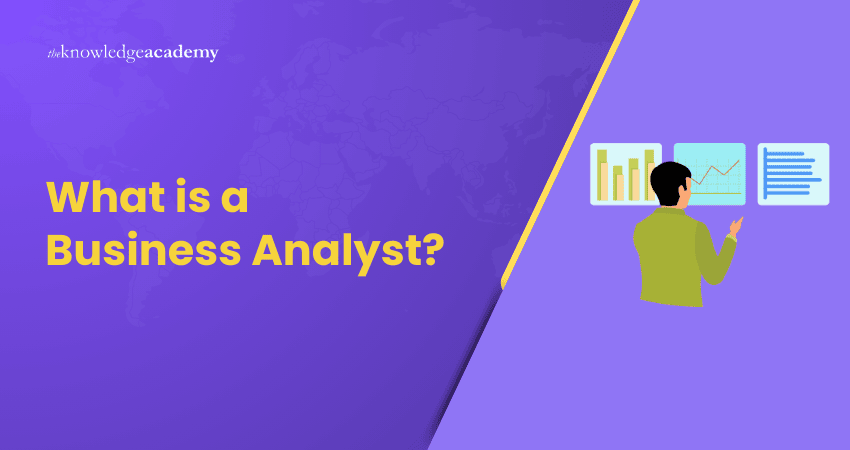 What is a Business Analyst