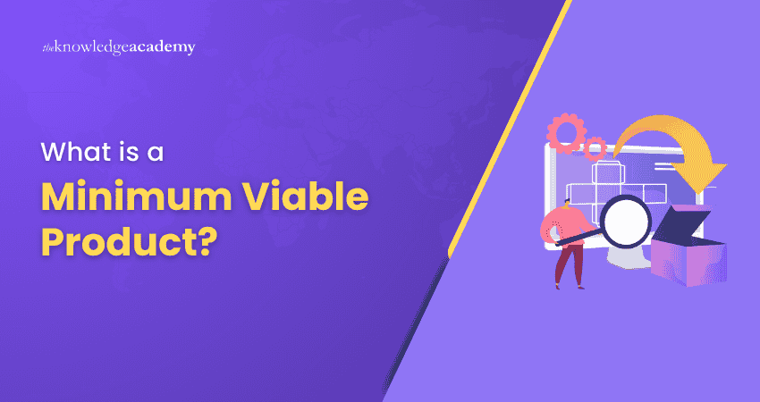 What is a Minimum Viable Product?