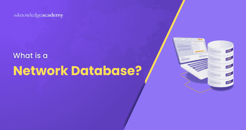 What is a Network Database