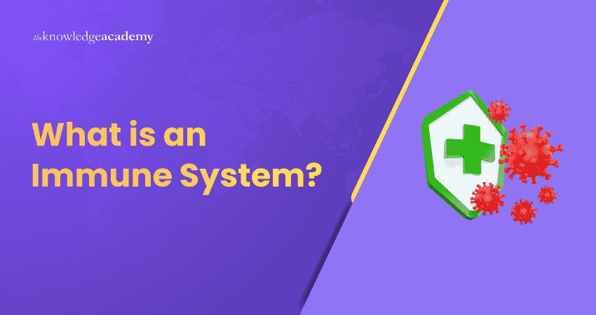 What is an Immune System