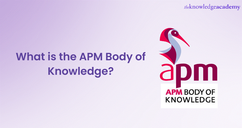 What is the APM Body of Knowledge
