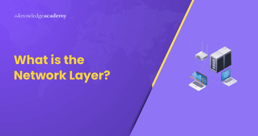 What is the Network Layer?