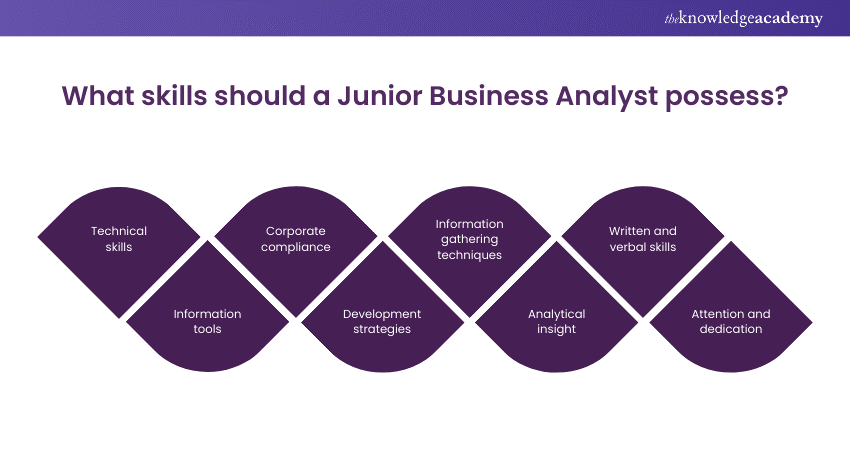 Junior Business Analyst: Skills, Roles, and Responsibilities