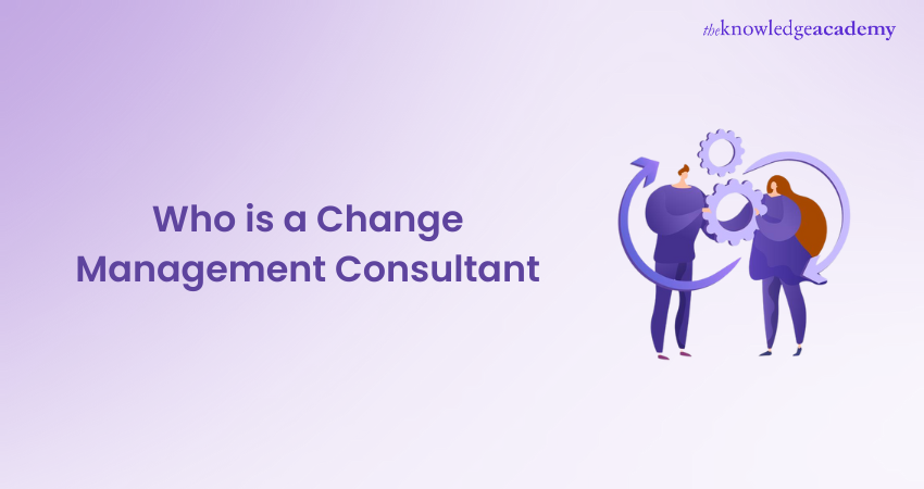 Who is a Change Management Consultant