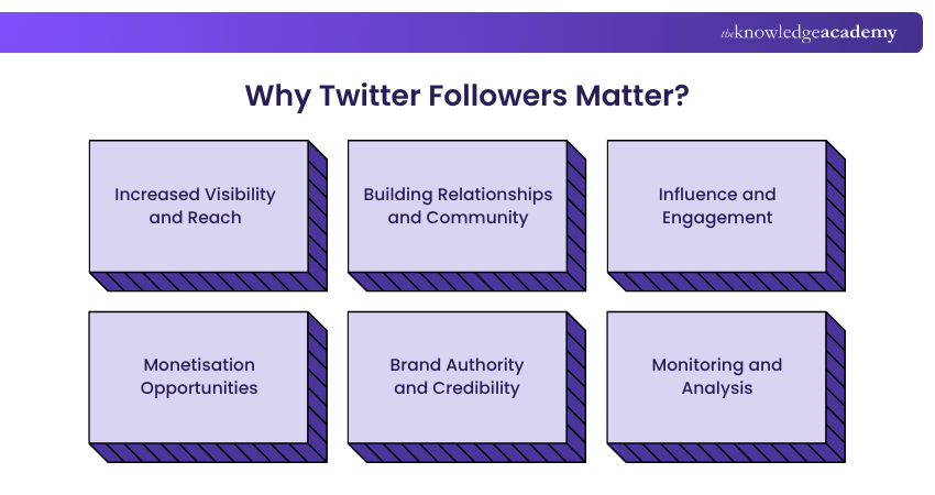 Why Twitter Followers Matter