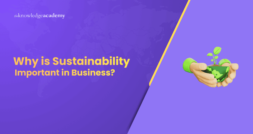Why Sustainability is Important in Business?