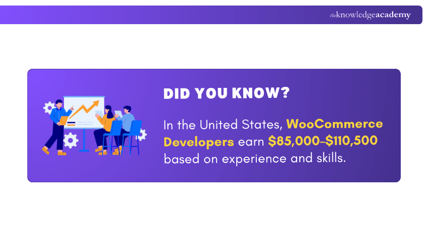 Salary Insights of WooCommerce Developer in US WooCommerce Developer Salary Insights US