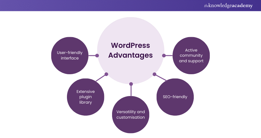 WordPress Advantages