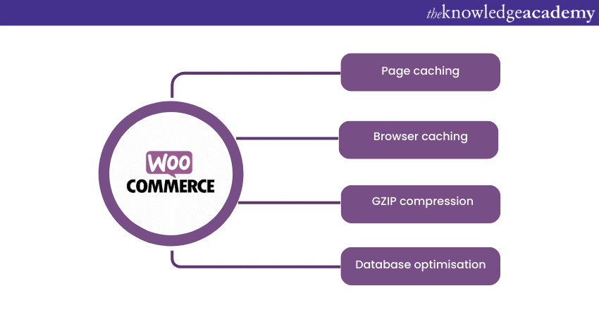 WordPress Plugins: Benefits of WooCommerce WordPress Plugins: Benefits of WooCommerce