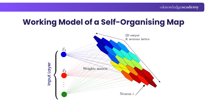Working Model of a Self organising Map Working Model of a Self organising Map