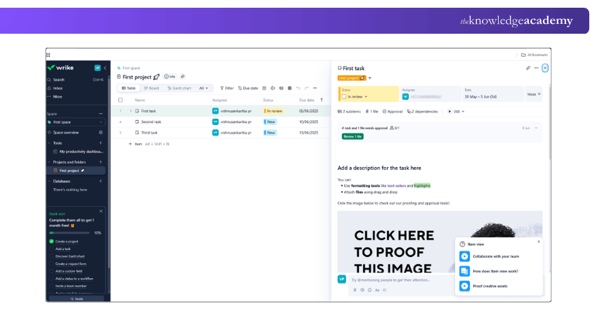 Wrike Project Management Example