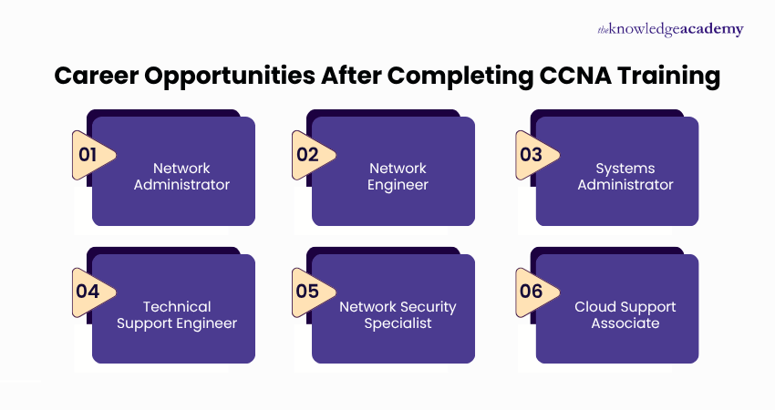 Career Opportunities After CCNA Training