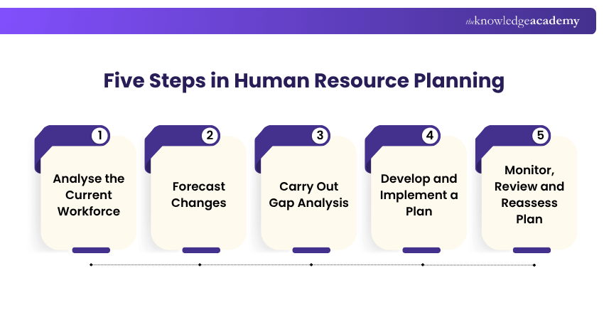 Five Steps in the Human Resource Planning Steps in the Human Resource Planning