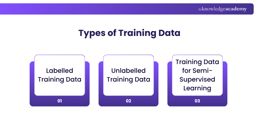 Types of Training Data Common Types of Training Data