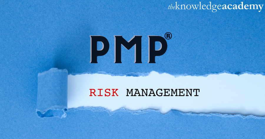 PMP Risk Management