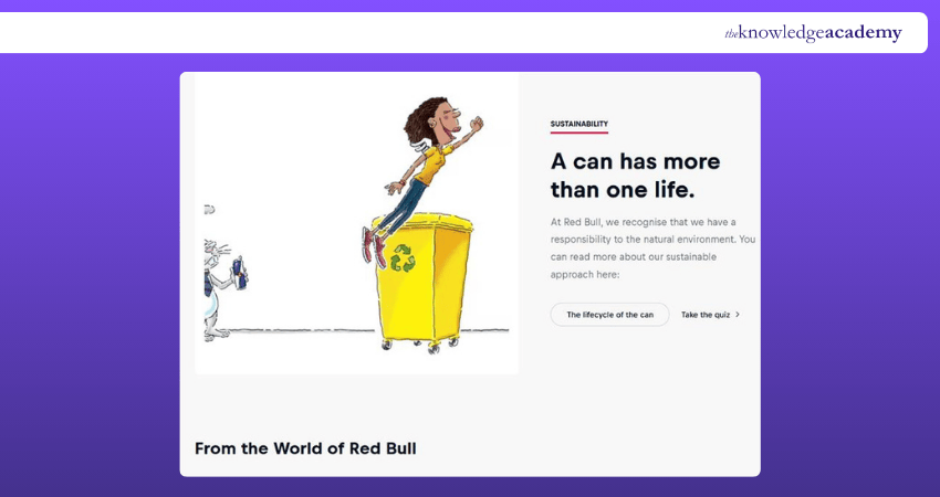 Explaining Target Audience Strategy of Red Bull
