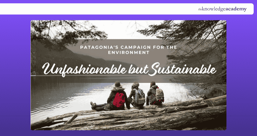 Explaining Target Audience Strategy of Patagonia