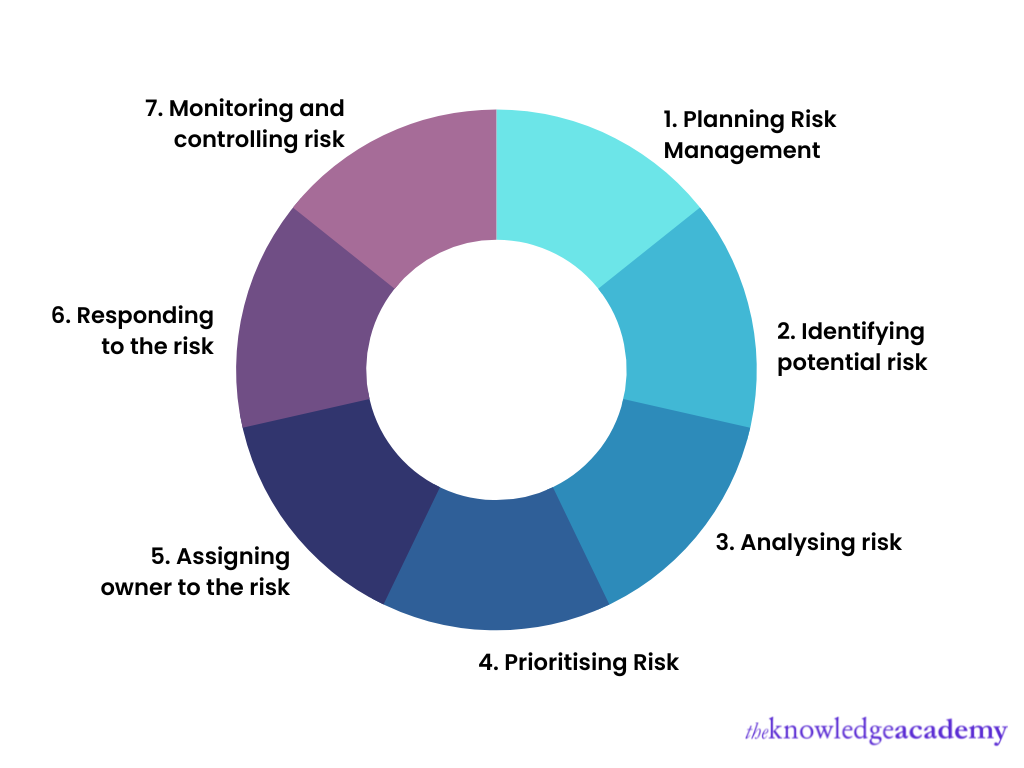 Seven elements of Risk Management Process