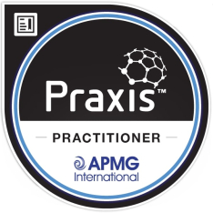 Praxis Framework™ Practitioner