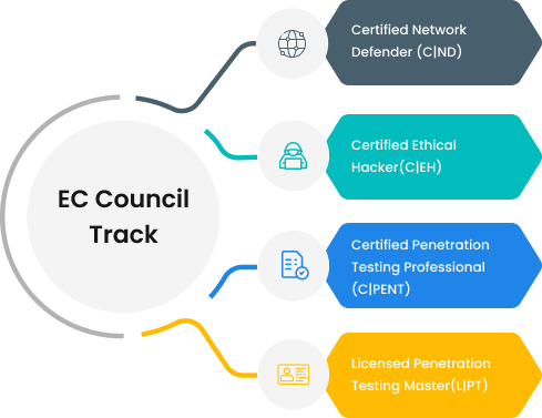 overview-info